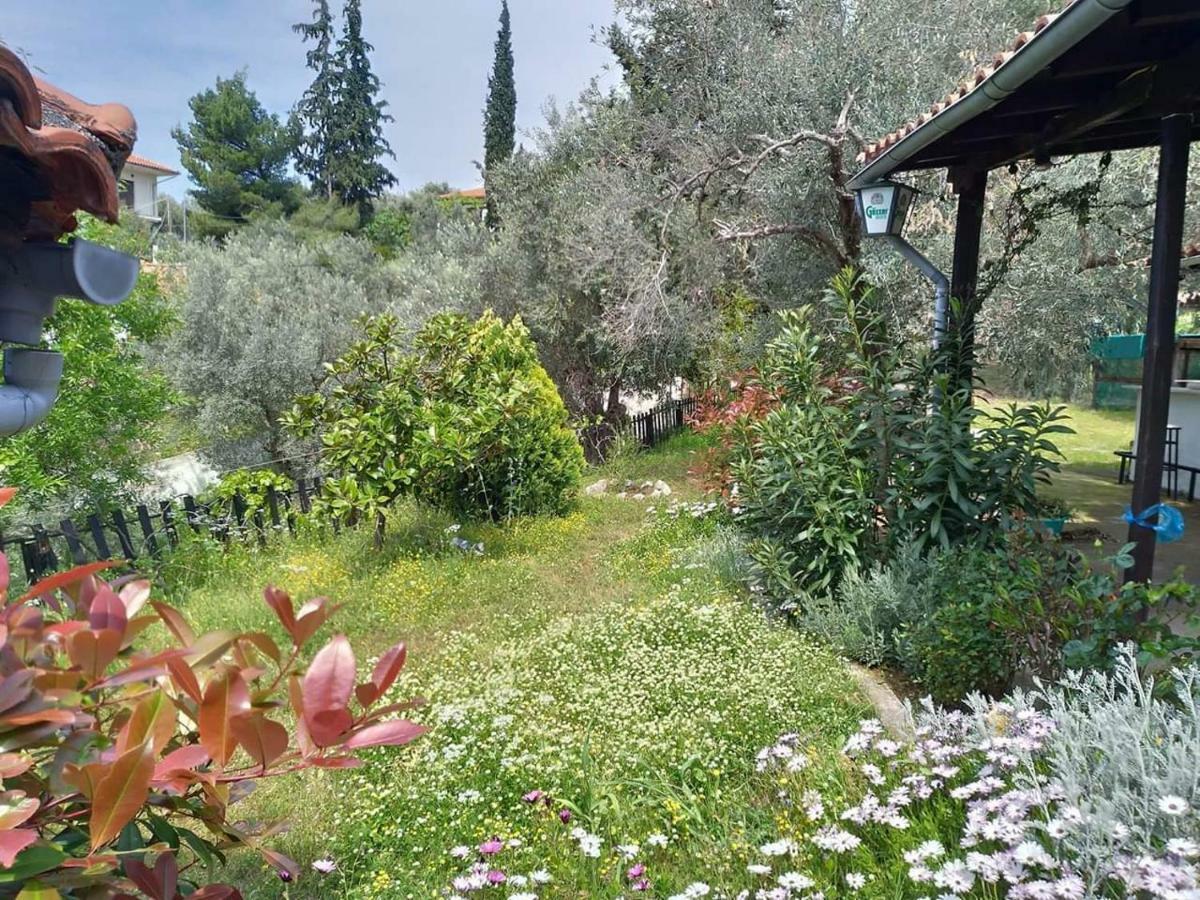 Persefoni House Villa Áfissos Eksteriør bilde
